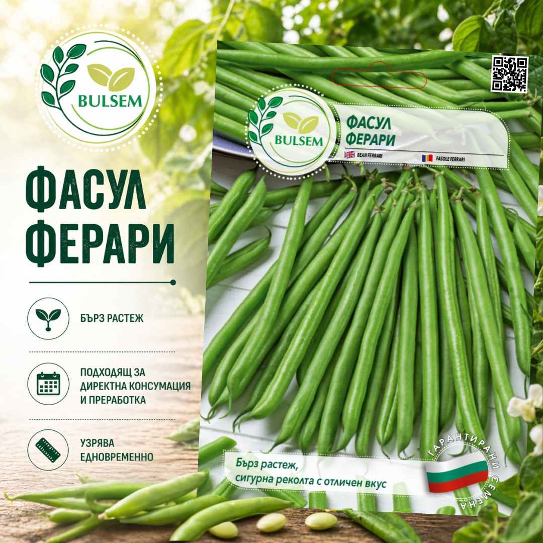 Фасул - Ферари